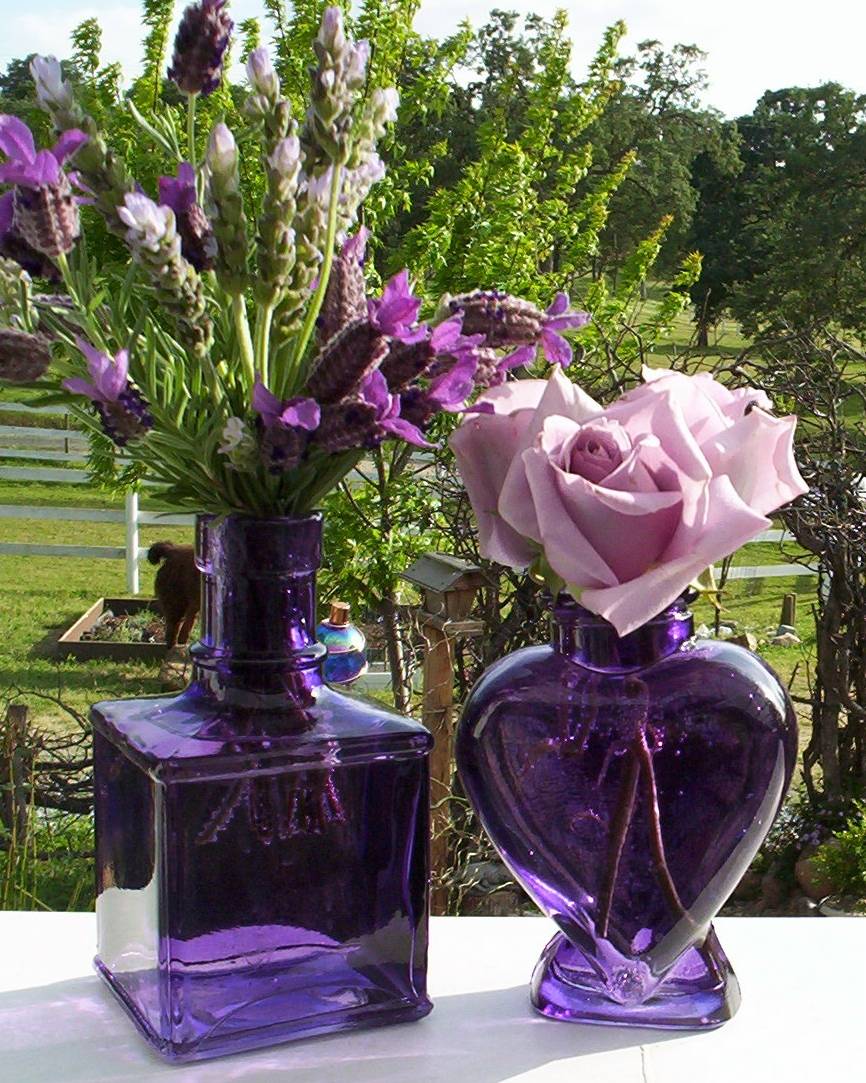 Lavender Fanatic specialty lavender products and gifts.