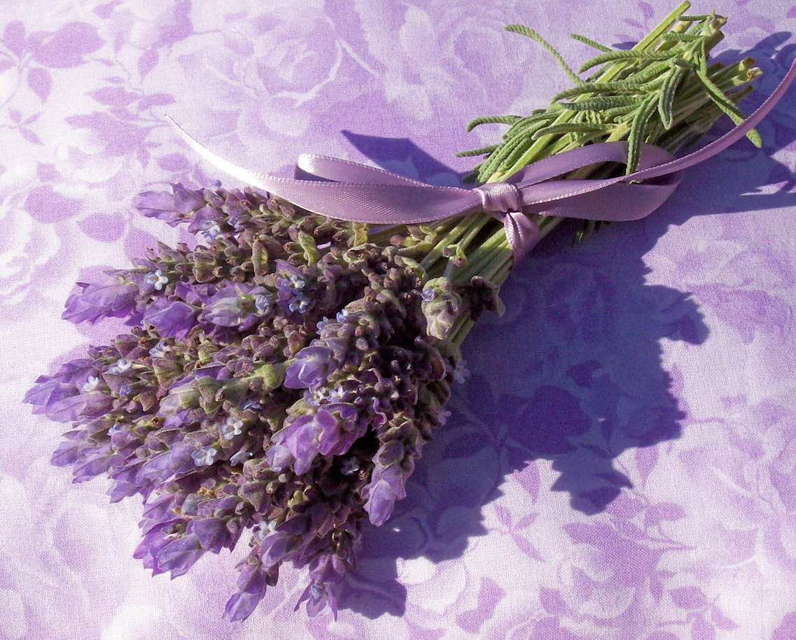 Lavender aromatherapy uses and benefits by Lavender Fanatic.